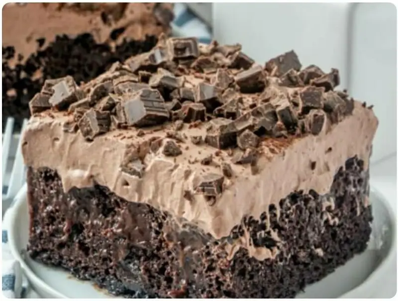 کیک شکلاتی فوق العاده خوشمزه و خیس قنادی پاستور با لایه ای از کرم شکلاتی پفکی و تکه های شکلات تلخ؛ تجربه ای به یادماندنی.