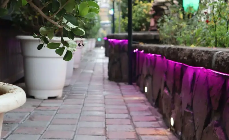 فضای باز دلنشین باغچه رستوران ونوس شهران با مسیر سنگی، گلدان‌های تزئینی و نورپردازی جذاب دیوارها با چراغ‌های بنفش.