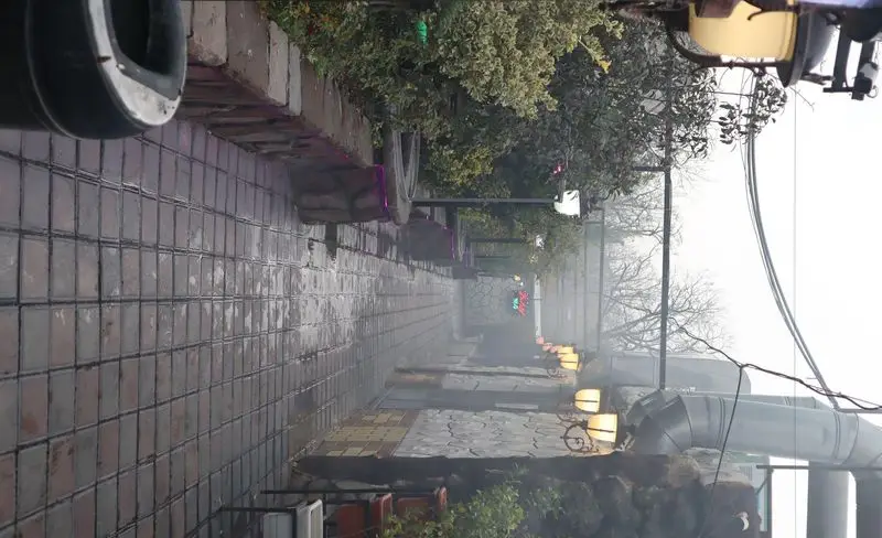 فضای باز دلنشین باغچه رستوران ونوس شهران با مسیر سنگفرش، نورپردازی زیبا و فضای سبز جذاب، ایده‌آل برای یک وعده غذایی آرام.