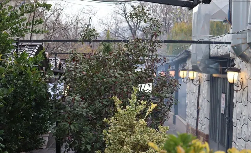 نمایی از فضای سبز و دلنشین باغچه رستوران ونوس شهران با گیاهان متنوع و چراغ‌های دیواری گرم، مناسب دورهمی‌های خانوادگی و دوستانه.