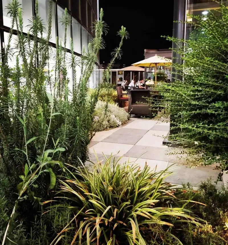 تصویری زیبا از فضای باز کافه رستوران ویونا پلاس در شب، با میز و صندلی‌های شیک، چترهای سایبان و محوطه‌ای سرسبز و آرامش‌بخش برای مشتریان.