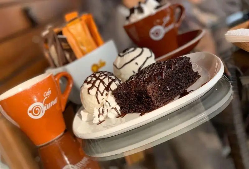 تجربه لذیذ در کافه رستوران ویونا پلاس: کیک شکلاتی مرطوب با سس غلیظ، همراه دو اسکوپ بستنی وانیلی، و قهوه داغ. انتخابی عالی برای دوستداران دسر و نوشیدنی‌های گرم.