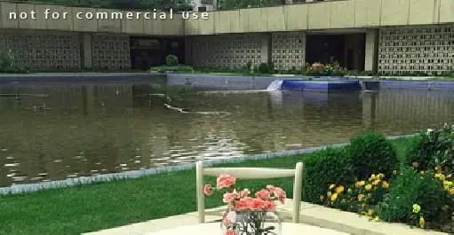 محیط آرام و دلنشین کسب و کار غذای سالم و گاهی پیور با حوض بزرگ آب، فضای سبز، گل‌های رنگارنگ و بنای زیبا.