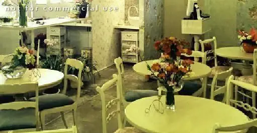 دکوراسیون داخلی کافه "غذای سالم و گاهی پیور" با میزهای کرم رنگ، صندلی‌های راحت و گلدان‌های گل زیبا، فضایی آرامش‌بخش برای مشتریان.