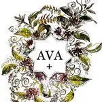 تصویر پروفایل پیتزا اوا