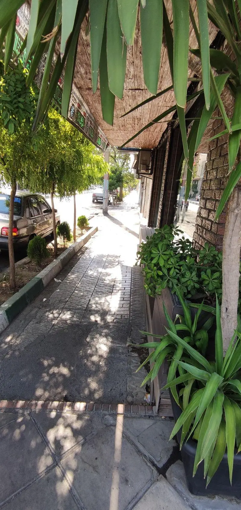 تصویر فضای بیرونی رستوران ایتالیایی سالی، شعبه ستارخان، با پیاده‌رو سنگفرش، گیاهان سرسبز و نوری دلنشین در محیط شهری.