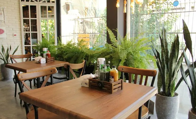 فضای داخلی دنج و دلنشین رستوران ایتالیایی تیپو با میز و صندلی چوبی، دکوراسیون طبیعی شامل گیاهان سبز فراوان و پنجره‌های بزرگ پر نور.