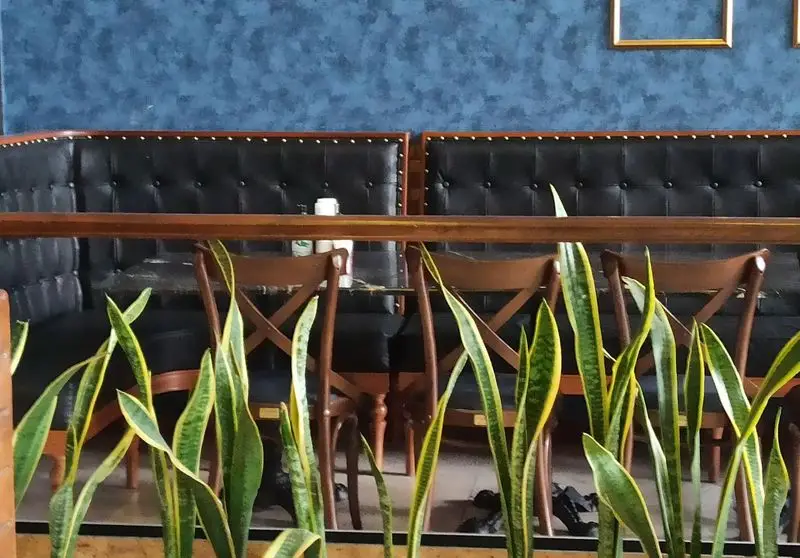 فضای داخلی فست فود گزینگ برگر: مبل‌های چرمی مشکی دکمه‌دار، صندلی‌های چوبی با طرح ضربدری و دکوراسیون آبی مدرن با گیاهان سبز.