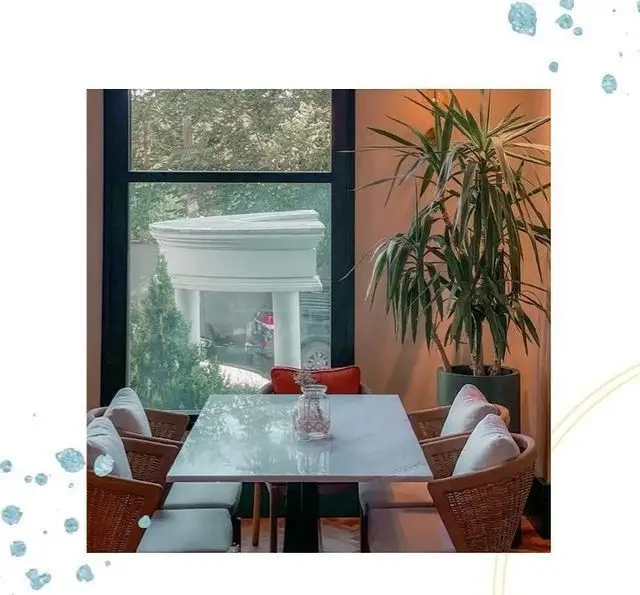 محیط دنج و زیبای کافه لوما با میز مرمر، صندلی‌های حصیری، گیاه بزرگ و پنجره رو به فضای سبز بیرونی، فضایی دلنشین برای مشتریان.