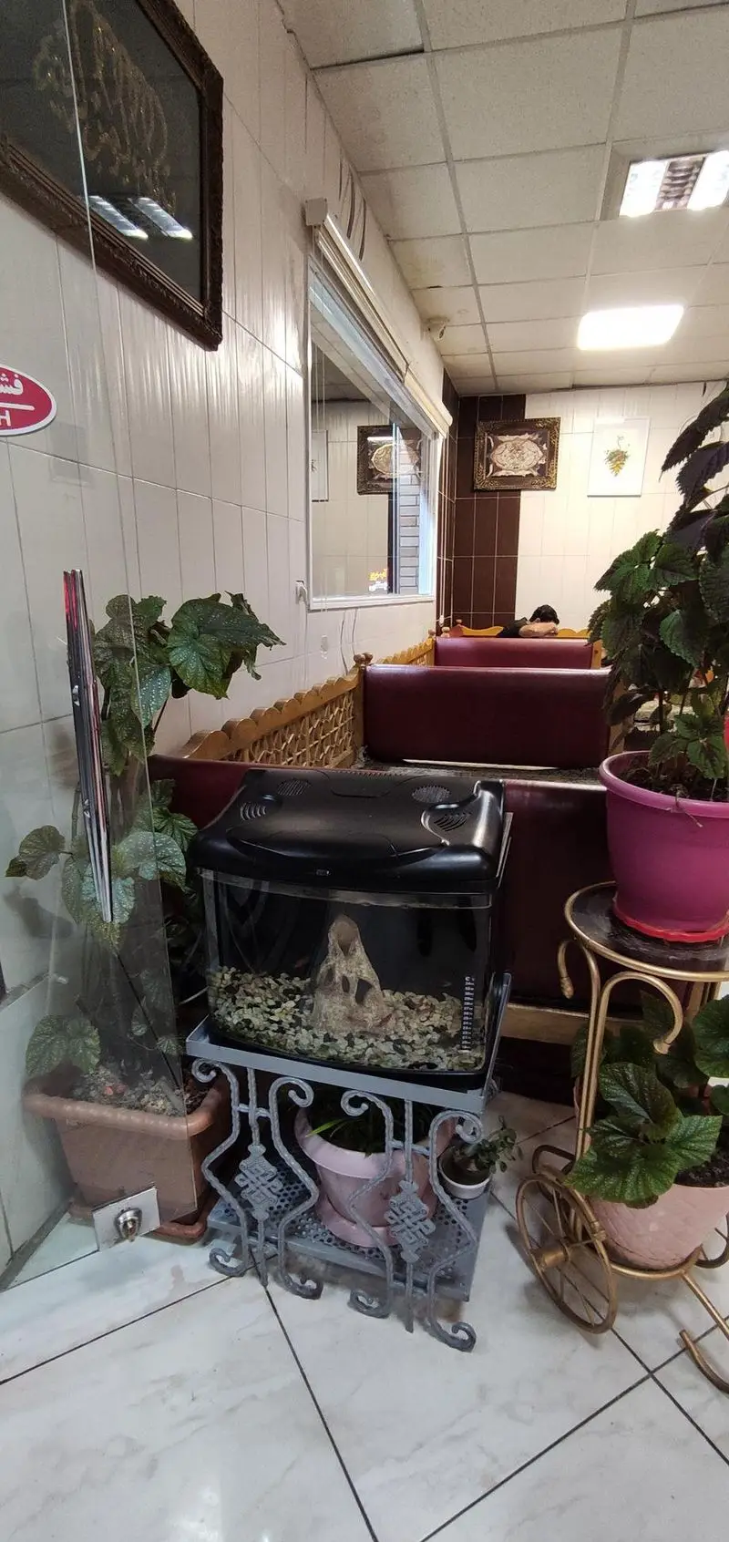 فضای داخلی دنج و آرام رستوران معلم با طراحی سنتی و مدرن، شامل آکواریوم زیبا و گلدان‌های طبیعی در محیطی دلنشین.