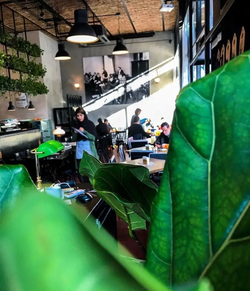 فضای داخلی کافه تایپ با مشتریان در حال گفتگو و صرف غذا، دکوراسیون مدرن، گیاهان سرسبز و نوری دلپذیر.