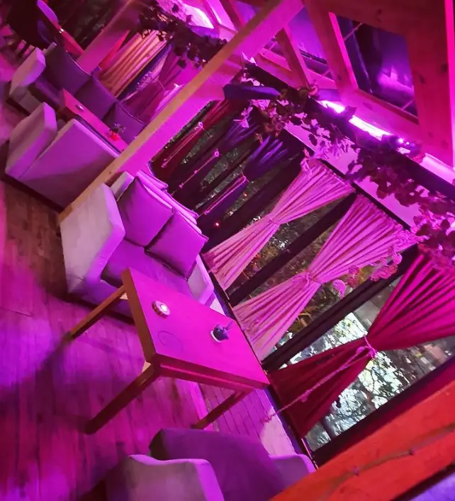 دکوراسیون داخلی کافه همیشگی با نورپردازی گرم صورتی، سقف چوبی، مبلمان راحتی و پنجره‌های بزرگ رو به فضای سبز، محیطی دنج و آرامش‌بخش را فراهم کرده است.