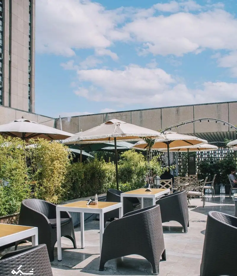 فضای باز دلنشین کافه یارد با چترهای آفتابگیر، میز و صندلی‌های راحت و محیطی سرسبز زیر آسمان آبی برای تجربه ای آرام.