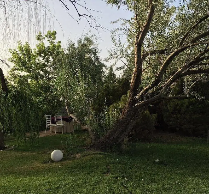 فضای سرسبز و زیبای رستوران باغ گلستان، با میز و صندلی در محیط آرام و دلنشین طبیعت برای تجربه غذایی لذت‌بخش.