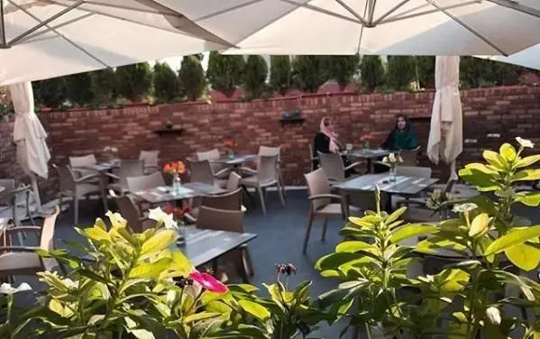 نمایی از فضای باز و دنج کافه رستوران ویراک با میز و صندلی‌های مدرن، چترهای بزرگ و تزئینات گیاهی سرسبز برای مشتریان.