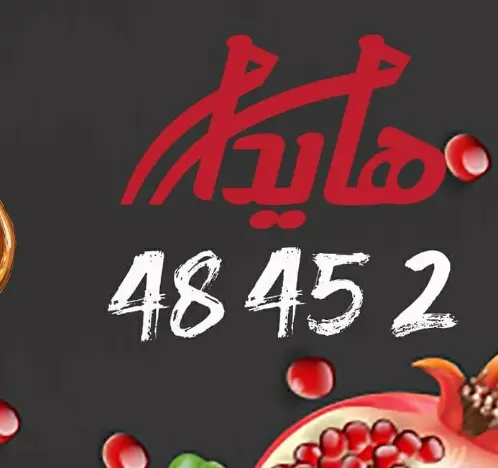 لوگوی ساندویچ هایدا با فونت قرمز و شماره تماس 48452 روی پس‌زمینه تیره همراه با دانه‌های انار. هایدا، ساندویچ‌های خوشمزه و باکیفیت برای تجربه غذایی عالی.