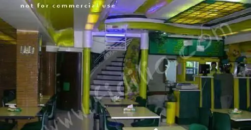 فضای داخلی دلباز و مدرن پیتزا مدبر، شامل میز و صندلی‌های چیده‌شده، پیشخوان سفارش و پرداخت، و پله‌های طبقه دوم. دکوراسیون شیک با رنگ‌های سبز و زرد.