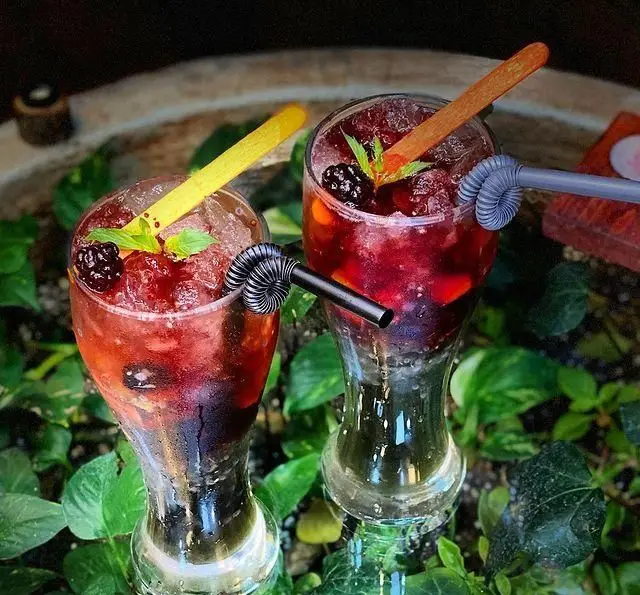نوشیدنی‌های میوه‌ای و یخی تابستانی با توت سیاه و نعناع، در محیط دلنشین کافه چوب سبز؛ تجربه‌ای خنک و تازه.