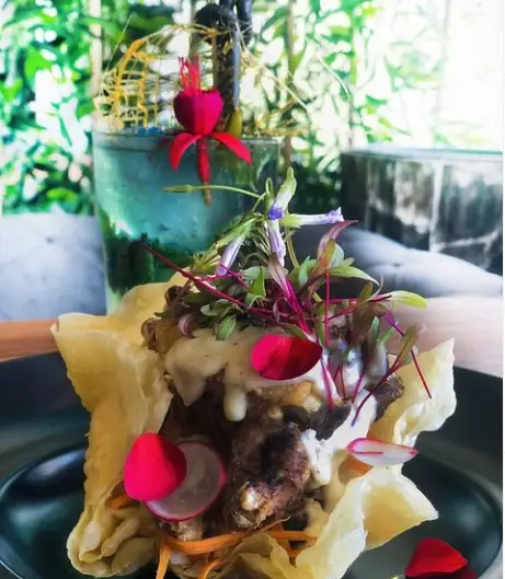 غذای خاص و خوشمزه کافه سیناک با تزئینات گل‌های قرمز، سبزیجات تازه، سس کرمی و نان ترد، کنار نوشیدنی خنک آبی در فضای دلنشین.