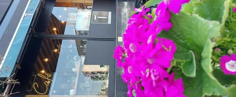 نمای ورودی کافه آ با تابلوی نئون 'Cafe'، درب شیشه‌ای منعکس‌کننده و فضای داخلی دنج، همراه با گلهای صورتی زنده در پیش‌زمینه.