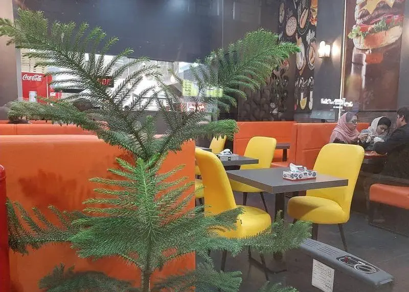 فضای داخلی دلنشین فست فود پادنا با دکوراسیون مدرن، میز و صندلی‌های شیک زرد و نارنجی، و مشتریانی در حال لذت بردن از غذا.