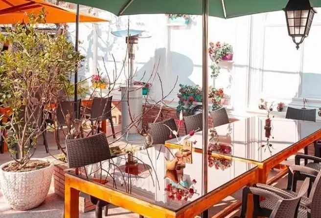 فضای باز دنج کافی شاپ ایرو با میزهای شیشه‌ای، صندلی‌های حصیری، چترهای سبز و نارنجی، و گیاهان زیبا در یک روز آفتابی.