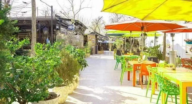 کافی شاپ ایرو: فضای باز رنگارنگ با چترهای آفتابی زیبا، میز و صندلی‌های شاداب و گلدان‌های سبز. محیطی دلنشین برای استراحت و لذت قهوه.