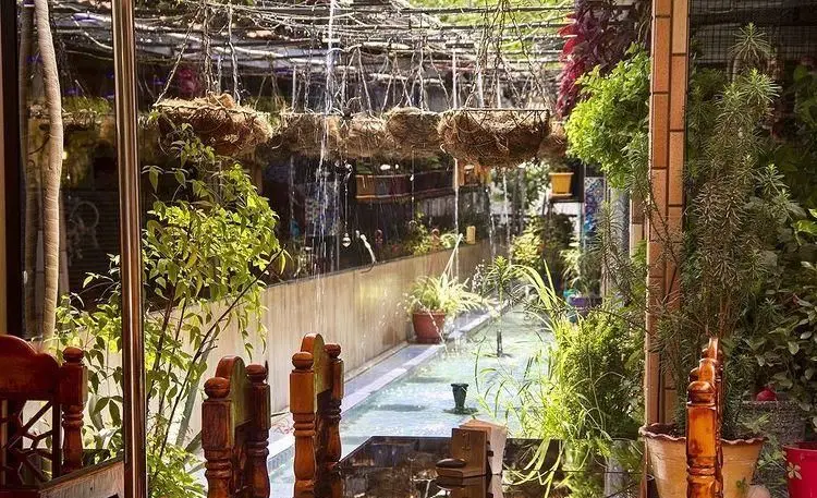 فضای داخلی کافه رستوران باغ ایرو، پوشیده از گیاهان سرسبز، آبنمای جاری و گلدان‌های آویز، محیطی دلپذیر و آرام برای مشتریان.
