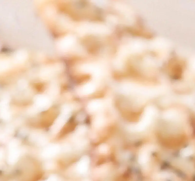 تصویری نزدیک از غذای لذیذ و دلپذیر رستوران هانی مرکزی، نمایانگر کیفیت عالی و طعم بی‌نظیر منوی ویژه این رستوران