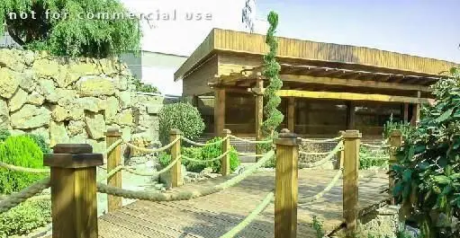 مسیر چوبی با نرده طنابی در فضای سبز و طبیعی سالادبار پامولا. رستورانی با معماری چوبی و محیطی دلنشین و آرامش‌بخش.