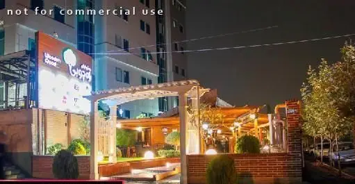 نمای شب از سالادبار پامولا با فضای باز دلنشین، دکوراسیون چوبی، نورپردازی گرم و محیطی دنج و زیبا برای مشتریان.