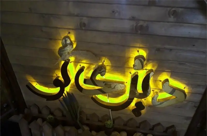 لوگوی نئون چوبی "دیزی تو" با نور زرد درخشان روی دیوار چوبی کافه، شامل حروف فارسی و تزئینات شبیه حشرات، فضای دنج کافی شاپ را نشان می‌دهد.