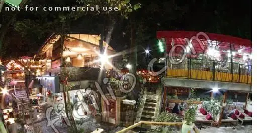 فضای بیرونی و دلنشین رستوران صفا در شب، با نورپردازی گرم و محیطی سرسبز و آرام، مکانی ایده‌آل برای تجربه غذایی دلپذیر.