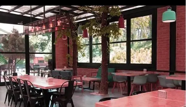 فضای داخلی مدرن و دکوراسیون خاص رستوران غذای دریایی سیتادل با دیوارهای آجری قرمز، میزهای صورتی، صندلی مشکی و درختان طبیعی داخل سالن با نورپردازی منحصر به فرد.