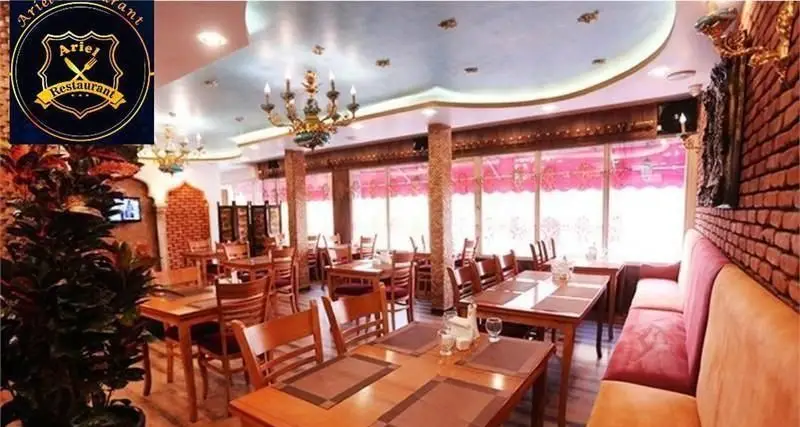فضای داخلی دنج و دلنشین رستوران فرنگی آریل با میز و صندلی‌های چوبی، دکوراسیون آجری و نورپردازی زیبا برای تجربه غذایی دلپذیر.