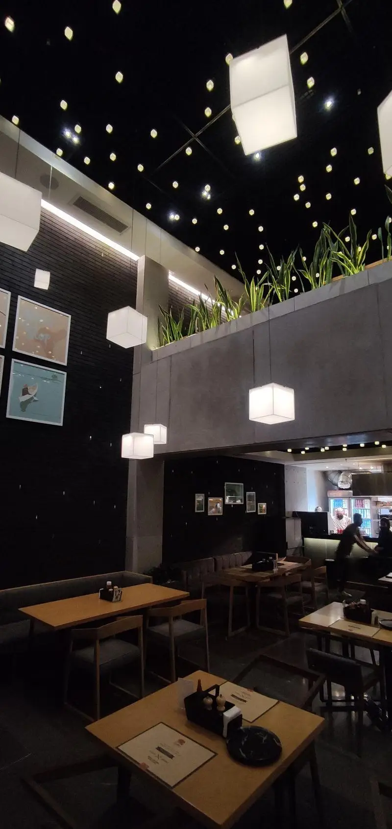 فضای داخلی مدرن فست فود دکتر آرین با سقف مشکی نورپردازی شده، چراغ‌های مکعبی آویز، میزهای چوبی و گلدان‌های سبز زیبا.