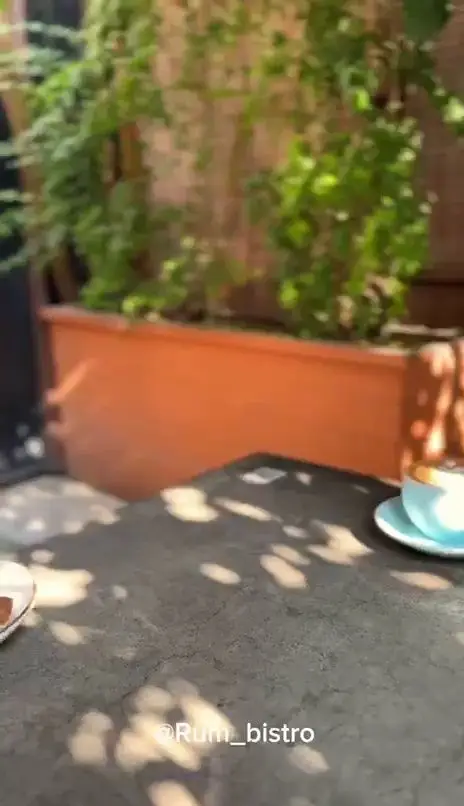 تصویری از کافه رام بیسترو، نمایشگر فضای باز دلنشین با میز و نوشیدنی، در زیر نور آفتاب و گیاهان سرسبز پس‌زمینه.